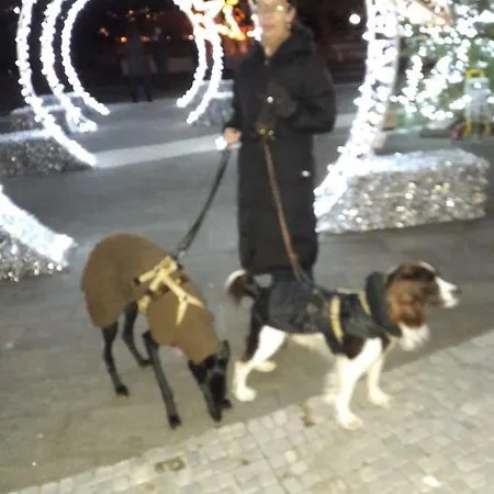 Bilocale Nel Borgo Storico * לריצ'י